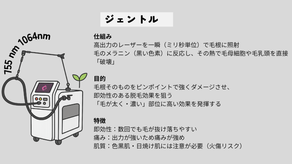 ジェントルの説明