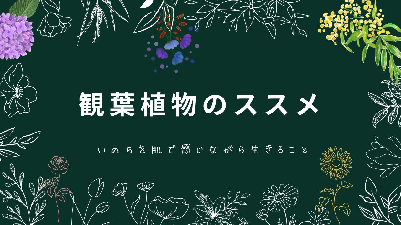 観葉植物、花のおすすめをする記事