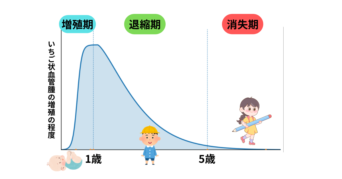 乳児血管腫の経過（増殖期・退縮期・消失期）図解